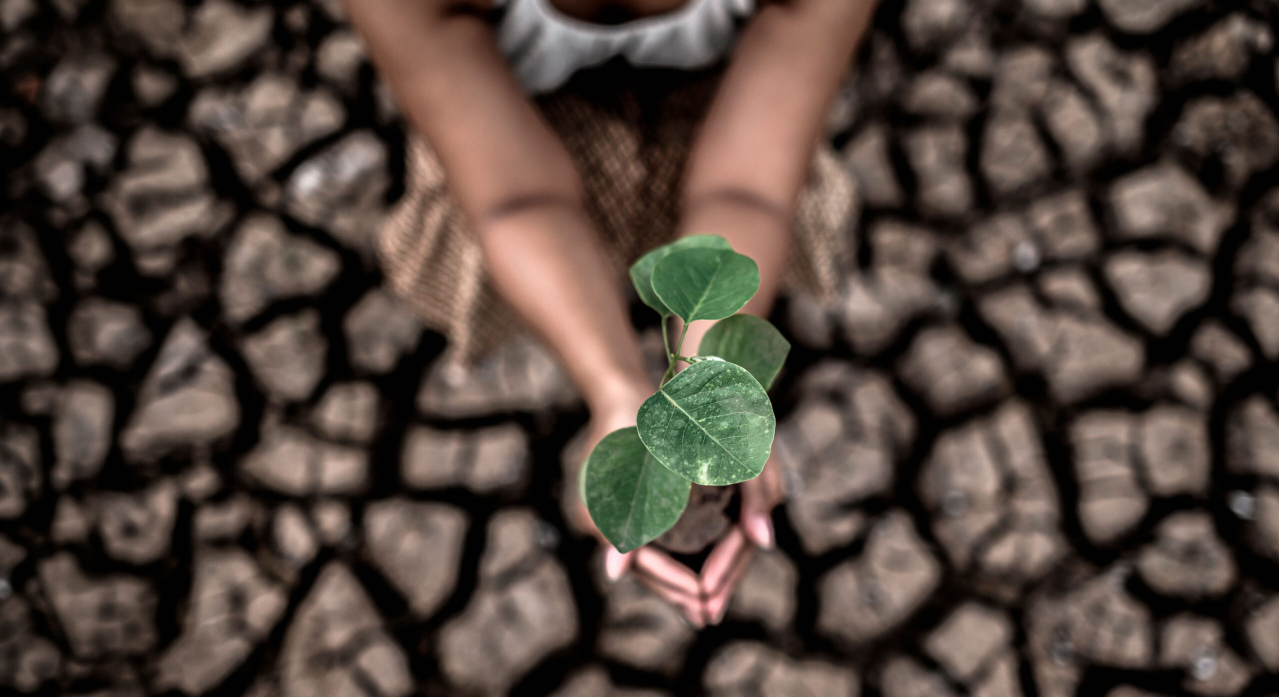 Cambio Climático
