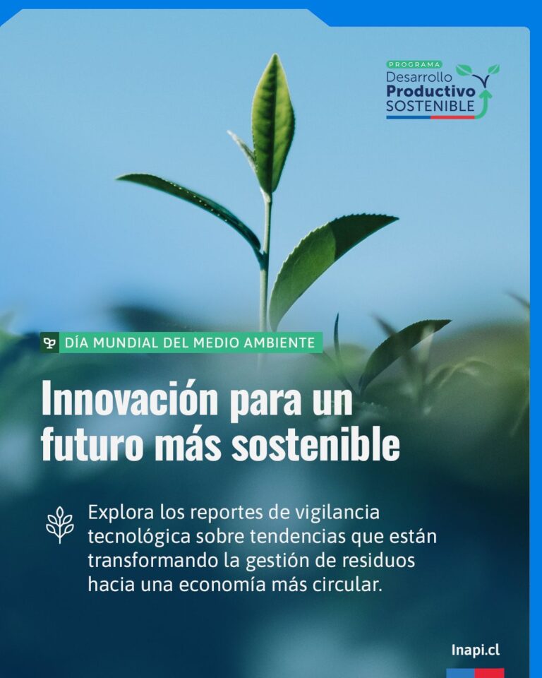 Innovación para un futuro más sostenible