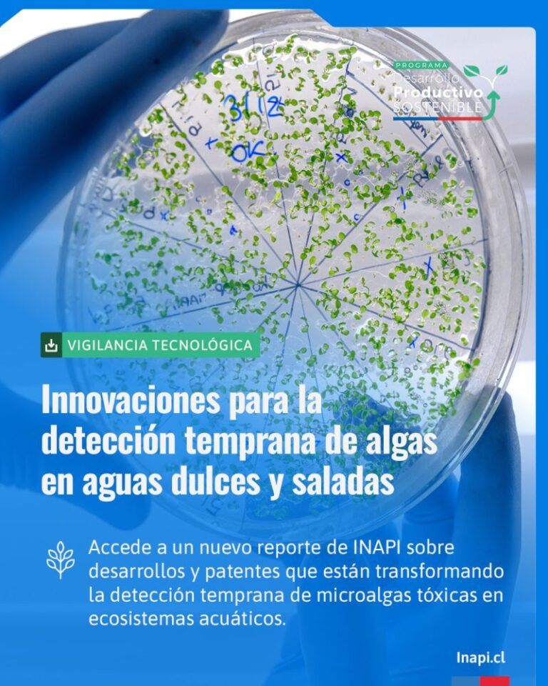 Nuevo reporte actualizado: Detección Temprana de Algas en Aguas Dulces y Saladas